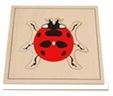 Lady bug puzzle