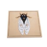 Fly puzzle