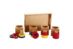 Multiple Shape Blocks with Tray